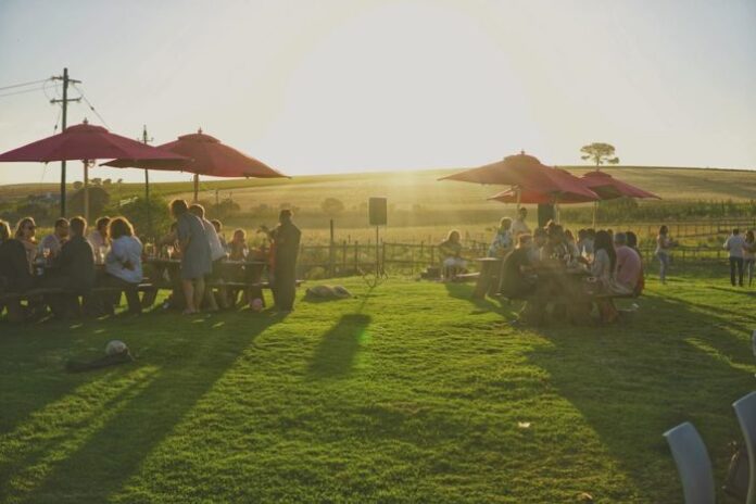 Middelvlei Wine Estate