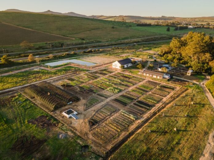 Spier Food Garden (1)