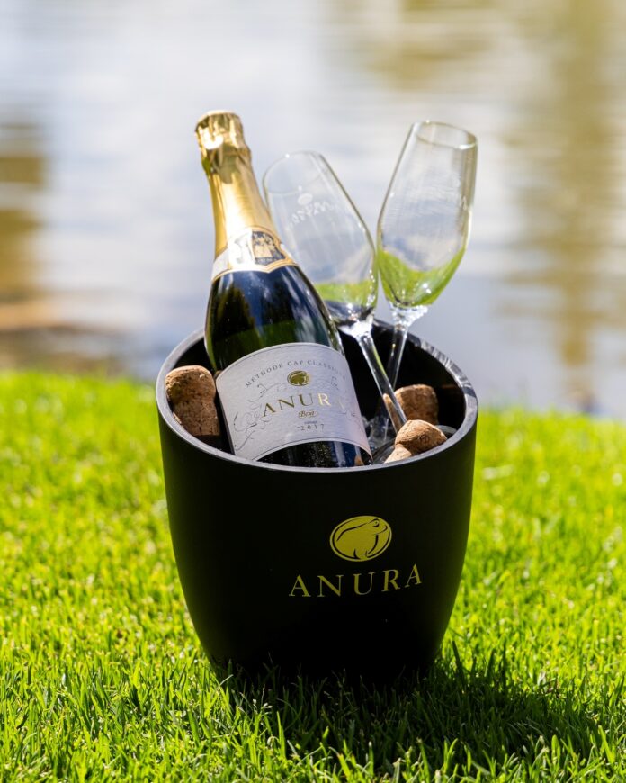 The Bubbly Festival at Anura